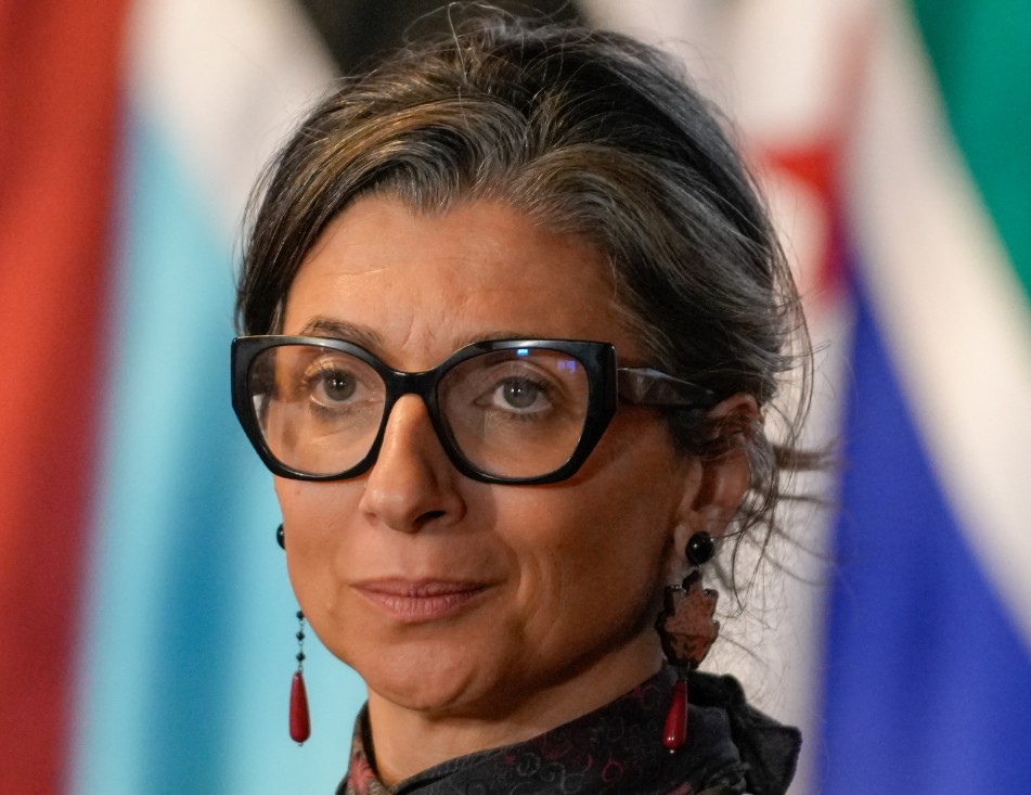 Francesca Albanese, Wikipedia.