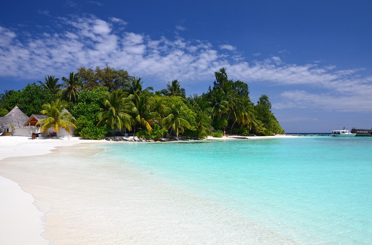 Maldives, Wikipedia