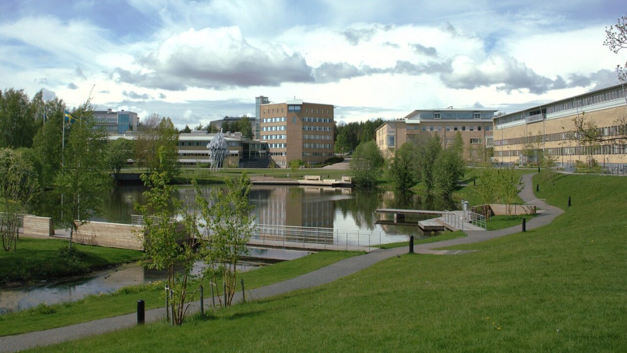 Umeå universitet, Wikipedia.